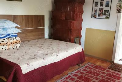 Casa cu 3200m2,teren intravilan -Seliste-Boto?ani, com. MILEANCA - 4