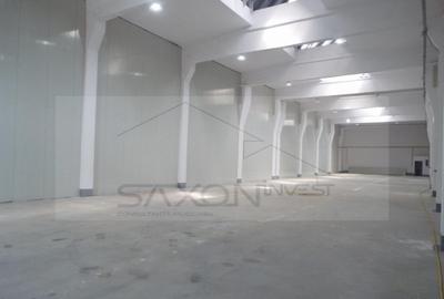 Sos Giurgiului- Jilava - 5