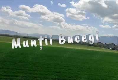 Casă cu 2 camere cu Teren 80 Mp în Sânpetru - 3