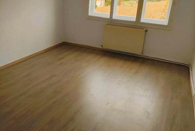 Apartament cu 3 camere decomandat în Lugoj - 3