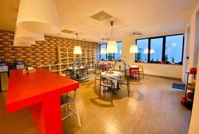 Spatiu comercial sau pentru birouri - 13
