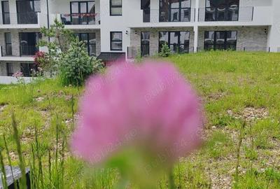 Apartamente de vanzare noi in Sinaia, gata de mutat - 11