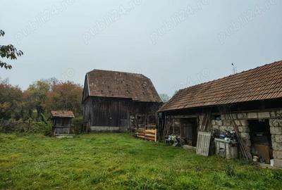 Casă cu 4 camere în Șaula - 7