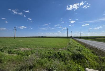Teren Construcții intravilan de 13700 mp, în Istria - 4