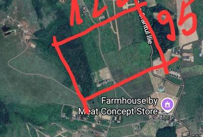 Teren de 5500 mp, în Bârnova - 4