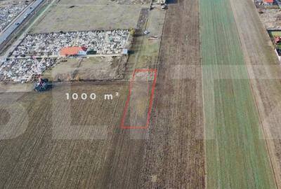 Teren 1000 mp, Oportunitate de Dezvoltare in Vladimirescu - 2