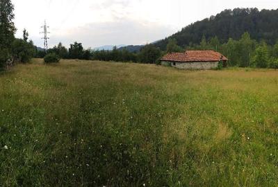 Teren de 12000 mp, în Uric - 2