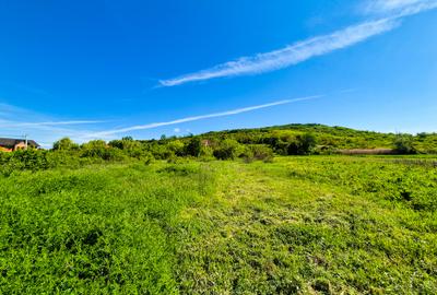 Teren intravilan Vranesti , Calinesti Arges - 3