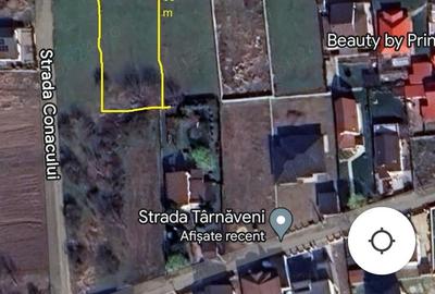 Teren de 1200 mp, în Tamași - 2