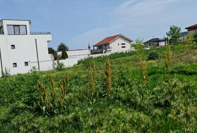 Teren Construcții intravilan de 670 mp, în Palazu Mare - 8