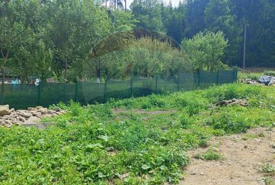 Teren in Bucovina, intravilan 3824 mp Deia-Frumosu, Suceava - 6