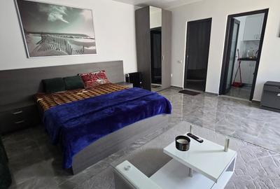 Garsonieră decomandată în Exterior Vest - 3