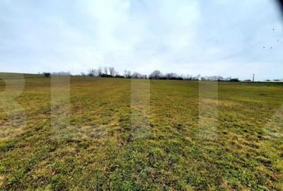 Teren de 4300 mp, în Sopor - 6