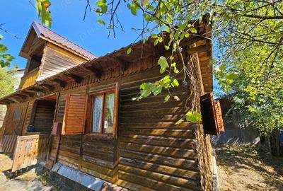 Teren de 1512 mp, în Fedeleșoiu - 9