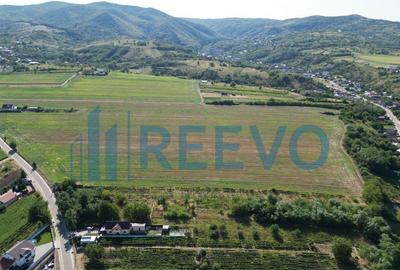 Teren de vanzare, Com. Sarata, Jud. Bacau - 1