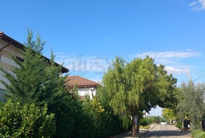 REV2005199 Vila deosebita cu Piscina Tunari - 10