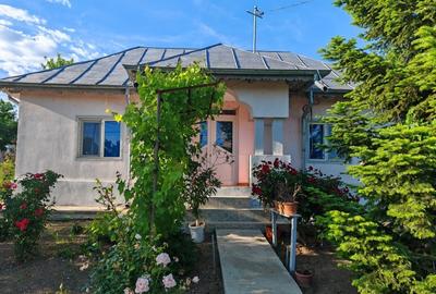 Casă cu 3 camere cu Teren 3000 Mp în Central - 4