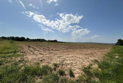 Teren extravilan de 950 mp, în Bârnova - 2