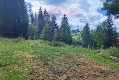 Teren in Bucovina, intravilan 3824 mp Deia-Frumosu, Suceava - 1