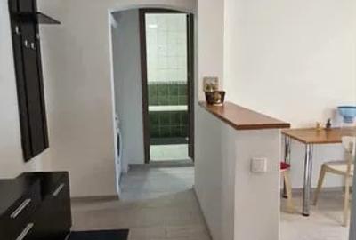 Apartament 2 camere, decomandat, 50mp, Teiul Doamnei - 7