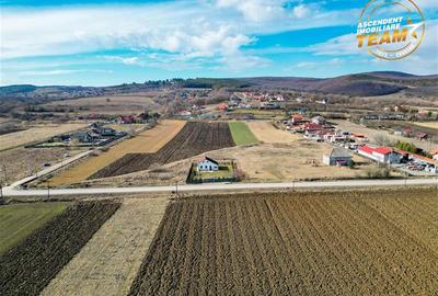 Teren Construcții intravilan de 31605 mp, în Exterior Est - 8