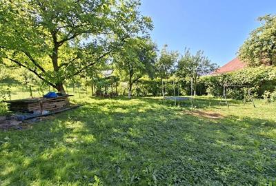 Casă cochetă cu teren generos și priveliște deosebită Vișeu de Sus - 4