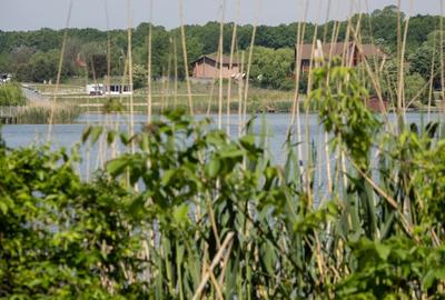 VANZARE DOMENIU CU DESCHIDERE  LA LACUL SNAGOV - 2