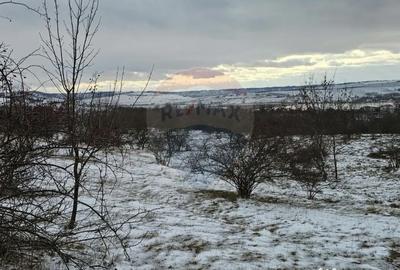 Teren de 10000 mp, în Rădășeni - 7