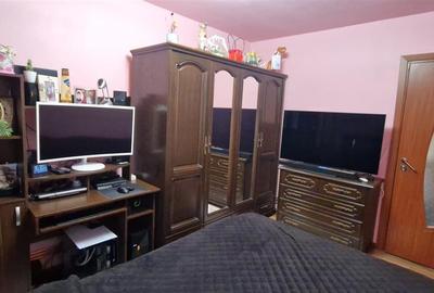 Apartament cu 2 camere nedecomandat în Valea Rosie - 2