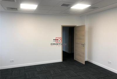 Depozit/hala/spatiu industrial Theodor Pallady - Drumul Int - 16