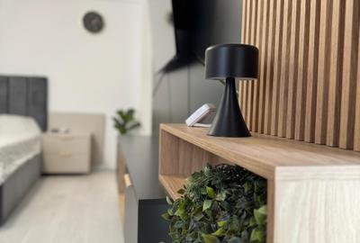 Apartament modern cu 1 camera Visan - 3