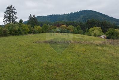 Proiect autorizat (AC) pentru constructia a 2 vile individuale P+M - 9