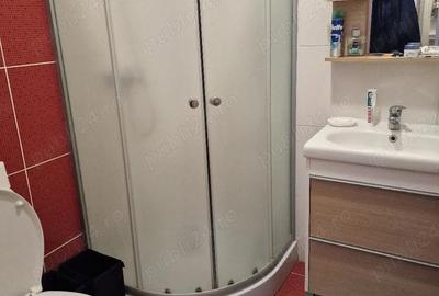 Casă cu 1 camere cu Teren 350 Mp în Dumbrăvița - 4