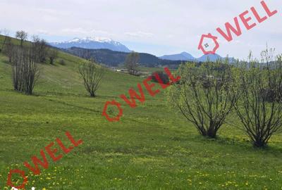 Teren de 6519 mp, în Barcani - 6