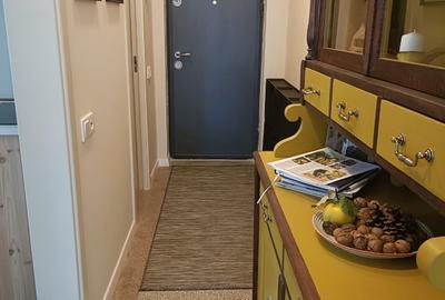Apartament cu 2 camere decomandat, mobilat în Gruia - 15