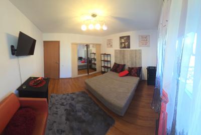 2 camere, în vila, la curte comuna, centrala, pet friendly, metrou Gorjului - 12