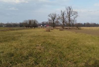 Casă cu 4 camere în Costișa - 2