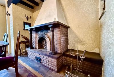 Casă individuală cu 8 camere cu Canalizare în Grădina Icoanei - 4