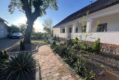 Vand superba casa in BACIA , teren de 2000 mp - 5