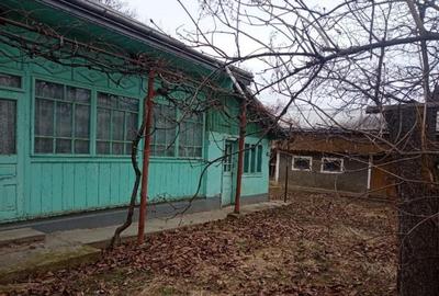 Casa Zona Liteni - Dolhasca - 10