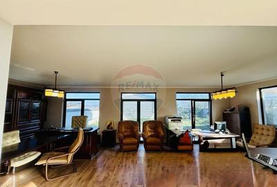 Casa / Vila stil mediteranean in apropiere de Oradea - 13