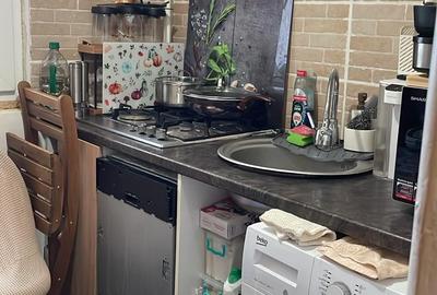 Colentina Teiul Doamnei - 3