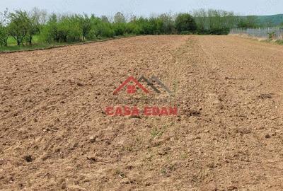 Teren extravilan in Banesti, 2400mp, 10e - 5