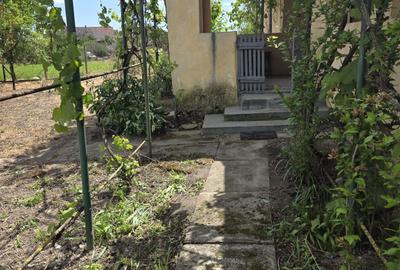 Casă cu 2 camere în Sintea Mică - 8