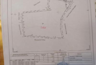 Teren de 25000 mp, în Plai - 1
