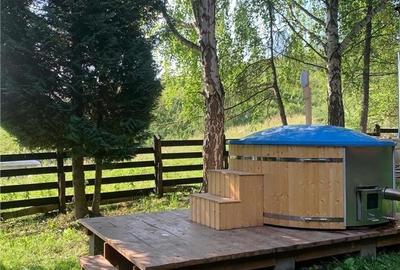 Cabana la munte, Colibita, jacuzzi, foisor - 17