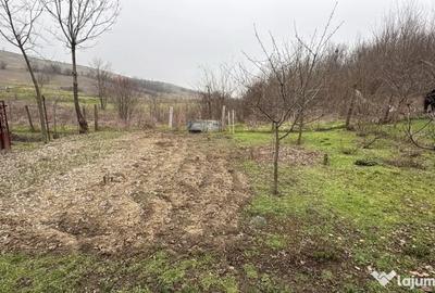 Teren de 2038 mp, în Ghercești - 9