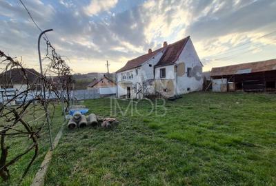 Casă individuală cu 2 camere cu Teren 8356 Mp în Țichindeal - 14