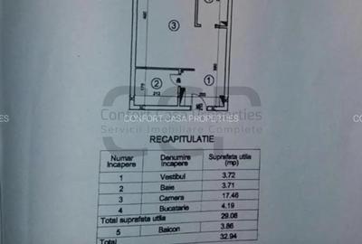 Apartament, mobilat în Tineretului