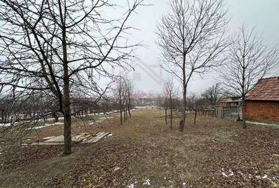 CASA DE VINZARE IN ILOVA\7 CAMERE, JUD.CARA?-SEVERIN - 16